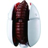 image:imageBandai Namco  Godzilla  Burning Godzilla 4 Transforming Egg Toy FigureMothra