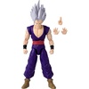 image:imageDragon Ball Super  Dragon Stars  Majin Buu Super 65 Action Figure04 Son Gohan Beast Super Hero