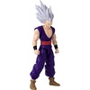 image:imageDragon Ball Super  Dragon Stars  Majin Buu Super 65 Action Figure04 Son Gohan Beast Super Hero