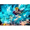 image:imageMegahouse  One Piece  MASMaximum  Marco The Phoenix Leader of 1st Group of Whitebeard Pirates Portrait of Pirates Collectible Statue