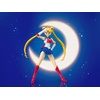 image:imageTAMASHII NATIONS  Pretty Guardian Sailor Moon  Sailor Moon Animation Color Edition Bandai Spirits SHFiguarts Action FigureSailor Moon