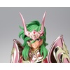 image:imageTAMASHII NATIONS  Saint Seiya  Andromeda Shun God Cloth Saint Cloth Myth EX Action Figure