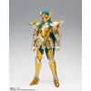 image:imageTAMASHII NATIONS  Saint Seiya  Aquarius Camus  Bandai Spirits Saint Cloth Myth EX Action Figure