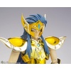 image:imageTAMASHII NATIONS  Saint Seiya  Aquarius Camus  Bandai Spirits Saint Cloth Myth EX Action Figure
