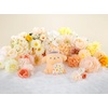image:imageTAMASHII Nations  Sanrio  Hello Kitty Rowtashii Noise mofamofy FigurePompompurin Pastel Colors Ver