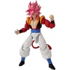 Super Saiyan 4 Gogeta