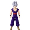 Gohan Beast