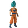 Super Saiyan Blue Goku