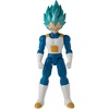 Super Saiyan Blue Vegeta