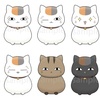 Natsumes Book of Friends Set