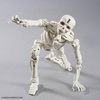 image:imageBandai Hobby  30 Minute Fantasy  18 Nekrosknight 30 MF 1144 Model KitDraw Skeleton