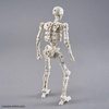 image:imageBandai Hobby  30 Minute Fantasy  18 Nekrosknight 30 MF 1144 Model KitDraw Skeleton
