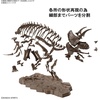 image:imageBandai Hobby  Dinosaur  Triceratops Bandai Spirits Imaginary Skeleton 132 Model Kit