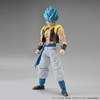 image:imageBandai Hobby  Dragon Ball Z  Ultimate Son Gohan Bandai Spirits FigureRise Standard Model KitSsgss Gogeta