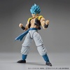 image:imageBandai Hobby  Dragon Ball Z  Ultimate Son Gohan Bandai Spirits FigureRise Standard Model KitSsgss Gogeta