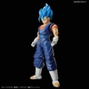 image:imageBandai Hobby  Dragon Ball Z  Ultimate Son Gohan Bandai Spirits FigureRise Standard Model KitSsgss Vegeto