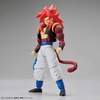 image:imageBandai Hobby  Dragon Ball Z  Ultimate Son Gohan Bandai Spirits FigureRise Standard Model KitSuper Saiyan 4 Gogeta