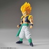 image:imageBandai Hobby  Dragon Ball Z  Ultimate Son Gohan Bandai Spirits FigureRise Standard Model KitSuper Saiyan Gotenks