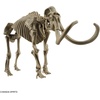 image:imageBandai Hobby  Exploring Lab Nature  Mammoth Model Kit