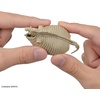 image:imageBandai Hobby  Exploring Lab Nature  Mammoth Model Kit