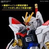 image:imageBandai Hobby  Gundam Seed Freedom  250 Mighty Strike Freedom Gundam HG 1144 Model Kit
