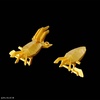 image:imageBandai Hobby  Mashin Creator Wataru  SP03 Fujinmaru Limited Initial Edition Model Kit