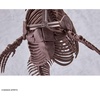 image:imageBandai Hobby  Mosasaurus Imaginary Skeleton 132 Dinosaur Model Kit