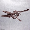 image:imageBandai Hobby  Mosasaurus Imaginary Skeleton 132 Dinosaur Model Kit