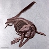 image:imageBandai Hobby  Mosasaurus Imaginary Skeleton 132 Dinosaur Model Kit
