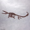 image:imageBandai Hobby  Mosasaurus Imaginary Skeleton 132 Dinosaur Model Kit