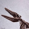 image:imageBandai Hobby  Mosasaurus Imaginary Skeleton 132 Dinosaur Model Kit
