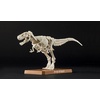 image:imageBandai Hobby  Plannosaurus  01 Tyrannosaurus Bandai Spirits Dinosaur Model Kit