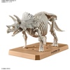 image:imageBandai Hobby  Plannosaurus  02 Triceratops Bandai Spirits Dinosaur Model Kit