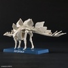 image:imageBandai Hobby  Plannosaurus  03 Stegosaurus Bandai Spirits Dinosaur Model Kit