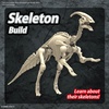 image:imageBandai Hobby  Plannosaurus  09 Parasaurolophus Dinosaur Model Kit