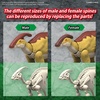image:imageBandai Hobby  Plannosaurus  09 Parasaurolophus Dinosaur Model Kit