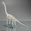 image:imageBandai Hobby  Plannosaurus  10 Brachiosaurus Dinosaur Model KitBrachiosaurus