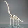 image:imageBandai Hobby  Plannosaurus  10 Brachiosaurus Dinosaur Model KitBrachiosaurus