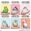 image:imageBandai Shokugan  Tenori Friends 10  Bird Blind Box Complete Set