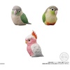 image:imageBandai Shokugan  Tenori Friends 10  Bird Blind Box Complete Set