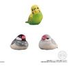 image:imageBandai Shokugan  Tenori Friends 10  Bird Blind Box Complete Set