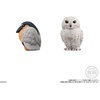 image:imageBandai Shokugan  Tenori Friends 10  Bird Blind Box Complete Set