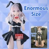 image:imageBanpresto  Alya Sometimes Hides Her Feelings in Russian  Alya Bunny ver Glitter amp Glamours Figure