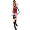 image:imageBanpresto  Naruto Shippuden  Uzumaki Naruto Narutop99 Bandai Spirits FigureHaruno Sakura