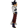 image:imageIchibansho Figure  Dragon Ball Z  Son Goku vs Omnibus Ultra Bandai Spirits Collectible Statue
