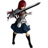 image:imageIchibansho Figure  Fairy Tail  Happy Fairy Tail 20th Anniversary Masterlise Collectible FigureErza Scarlet Fairy Tail 20th Anniversary