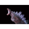image:imageIchibansho Figure  Shin Godzilla  Godzilla 2016 Monster Stampede Monsterlise Collectible Statue