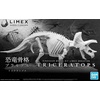 image:imageLimex Bandai Hobby  Dinosaur  Triceratops Bandai Spirits Dinosaur Skeleton Model Kit