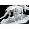 image:imageLimex Bandai Hobby  Dinosaur  Triceratops Bandai Spirits Dinosaur Skeleton Model Kit