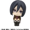 image:imageMegahouse  Attack on Titan  Mikasa Ackerman Lookup Figure